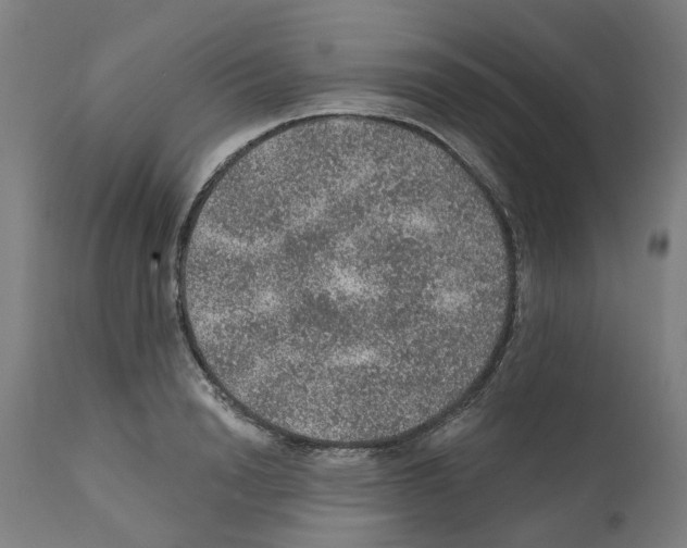 X0000112380846200909241213