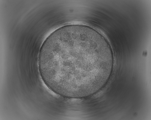 X0000112380847200909241213