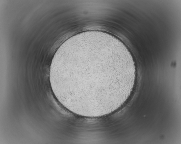 X0000112380849200909241213