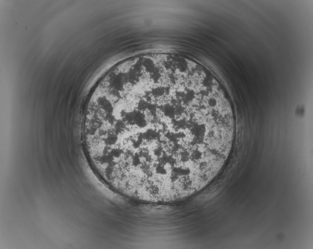 X0000112380851200909241213