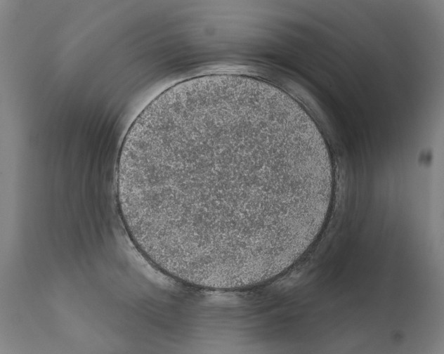 X0000112380852200909241213