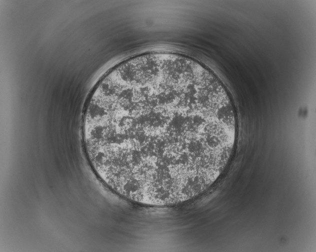 X0000112380853200909241213