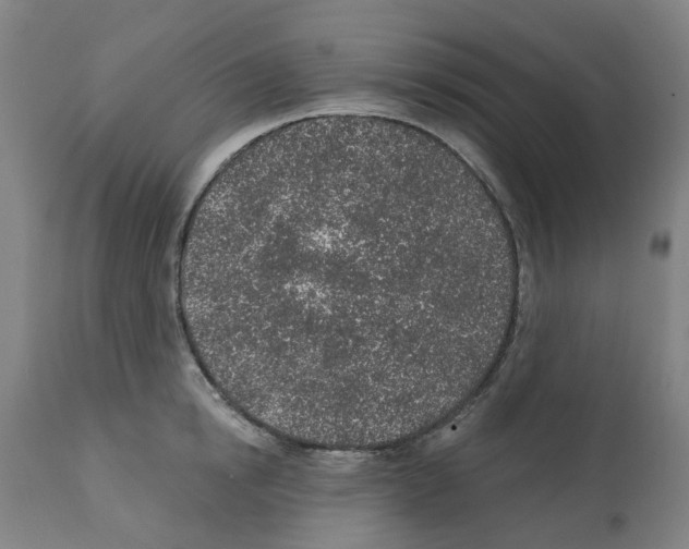 X0000112380854200909241213