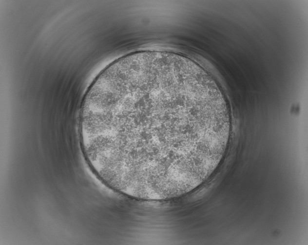 X0000112380855200909241213