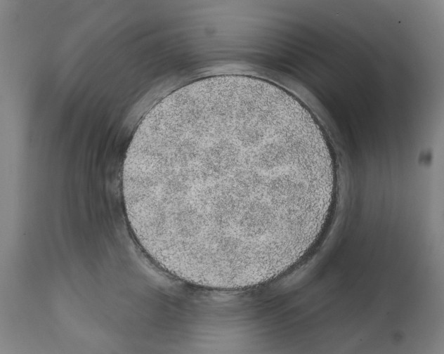 X0000112380857200909241213