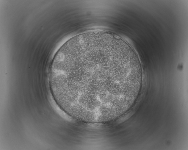 X0000112380859200909241213