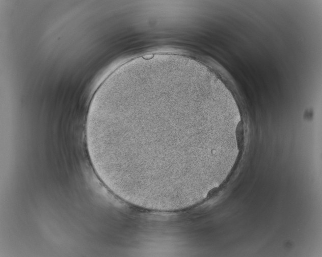 X0000112380860200909241213