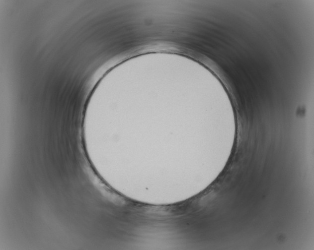 X0000112380861200909241213