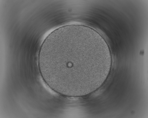 X0000112380862200909241213