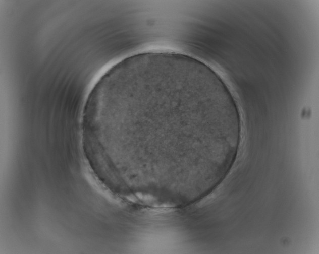 X0000112380864200909241213