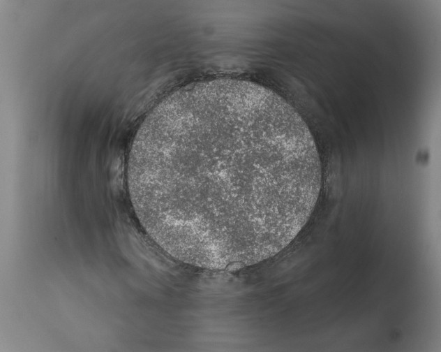 X0000112380866200909241212