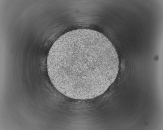 X0000112380867200909241212