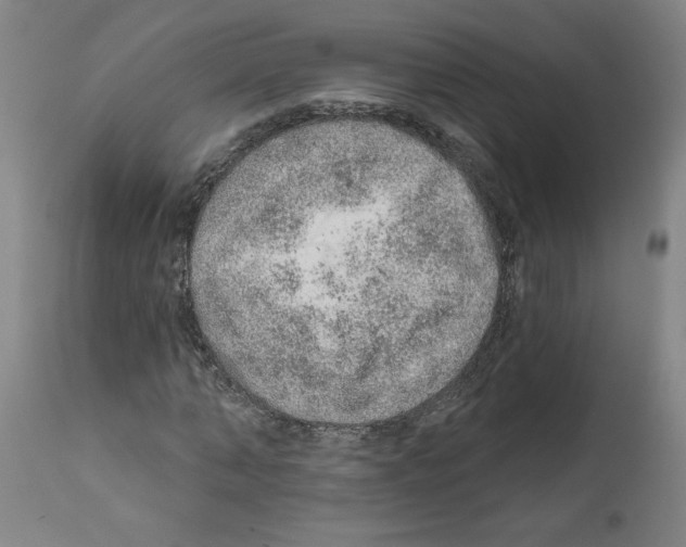 X0000112380870200909241212