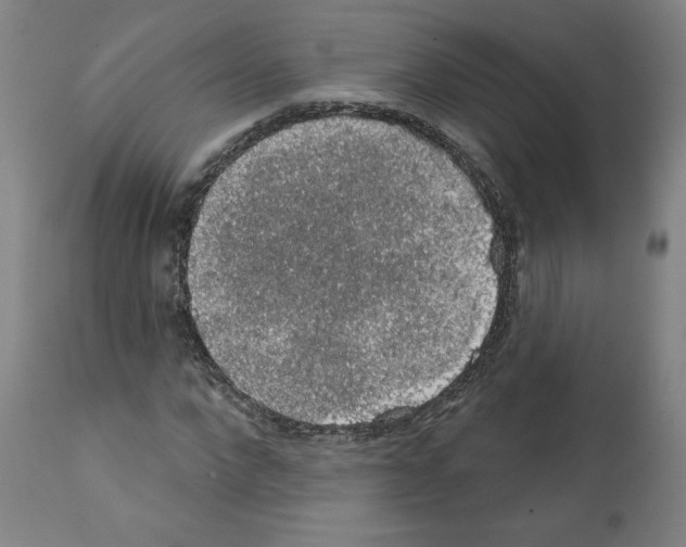 X0000112380872200909241212