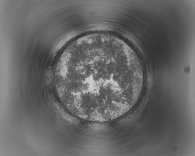 X0000112380874200909241212