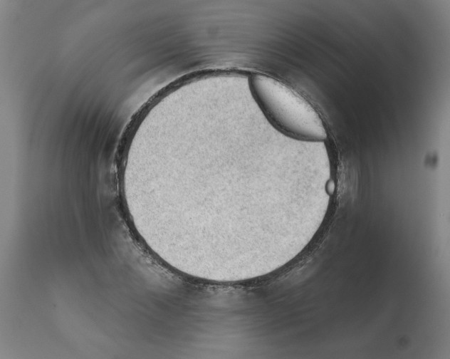 X0000112380876200909241212