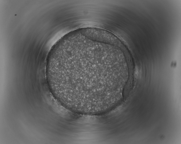 X0000112380877200909241212