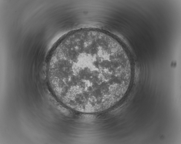 X0000112380878200909241212