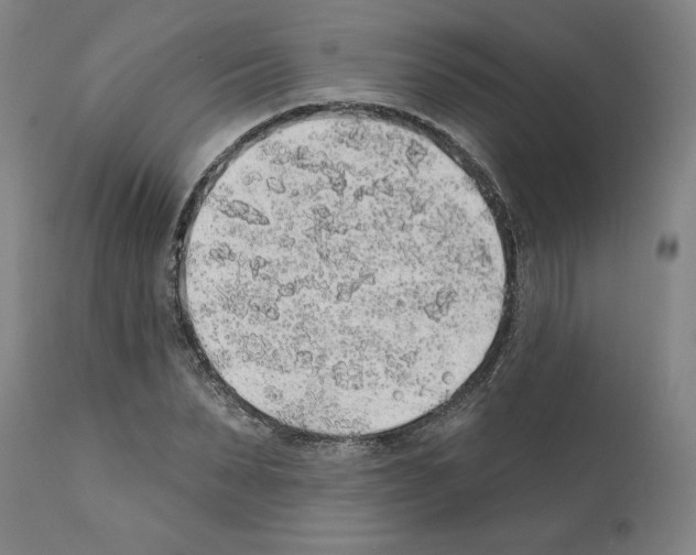 X0000112380879200909241212