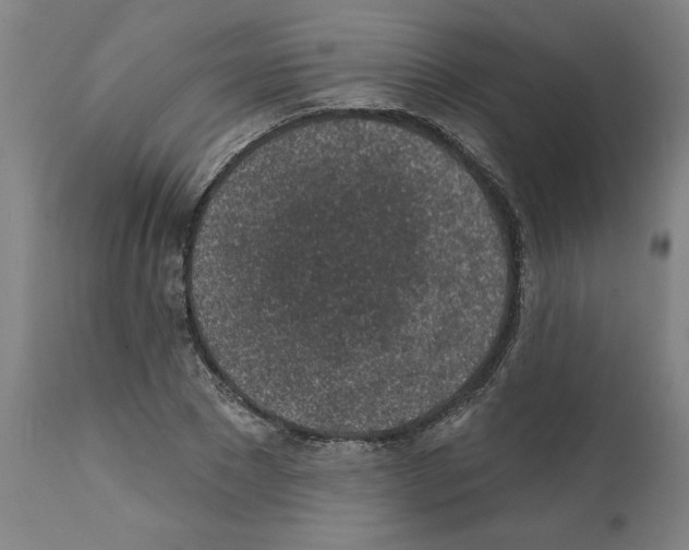 X0000112380881200909241212