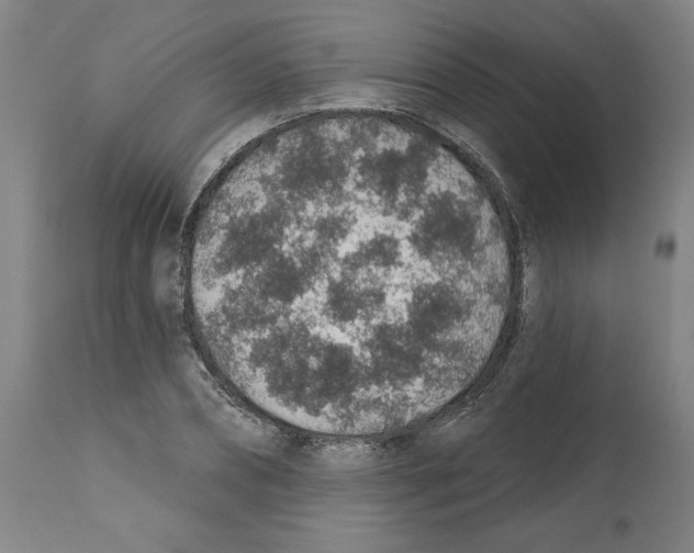 X0000112380882200909241212