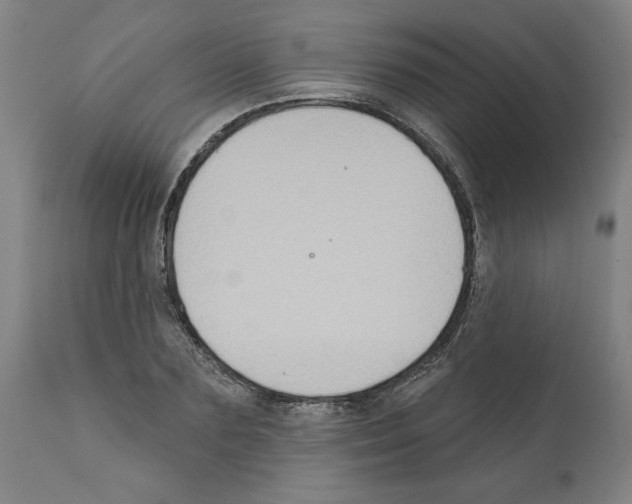 X0000112380883200909241212