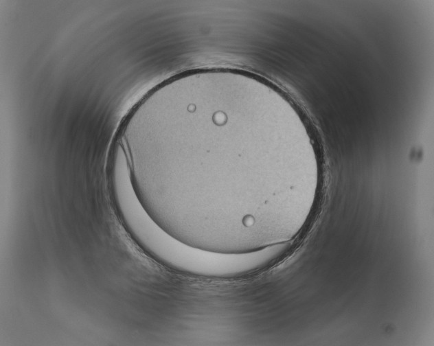 X0000112380885200909241212