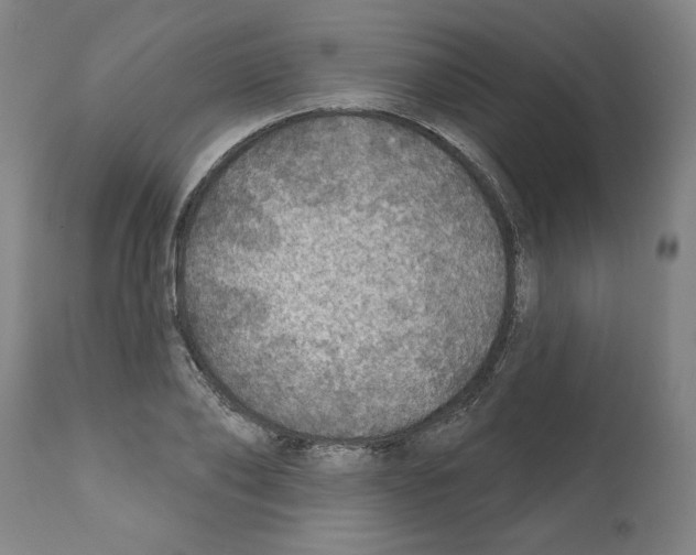 X0000112380886200909241212