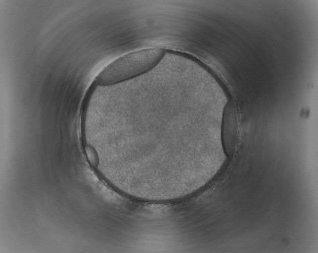 X0000112380888200909241212