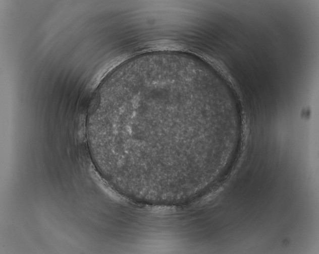 X0000112380889200909241212