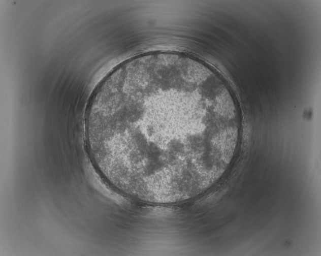 X0000112380890200909241212