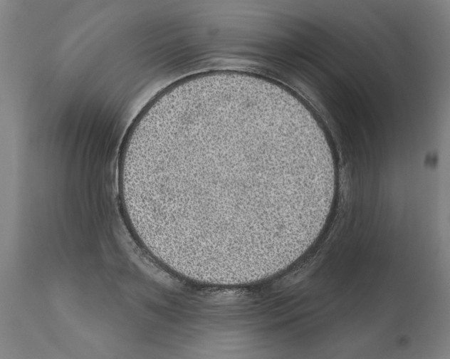 X0000112380891200909241212