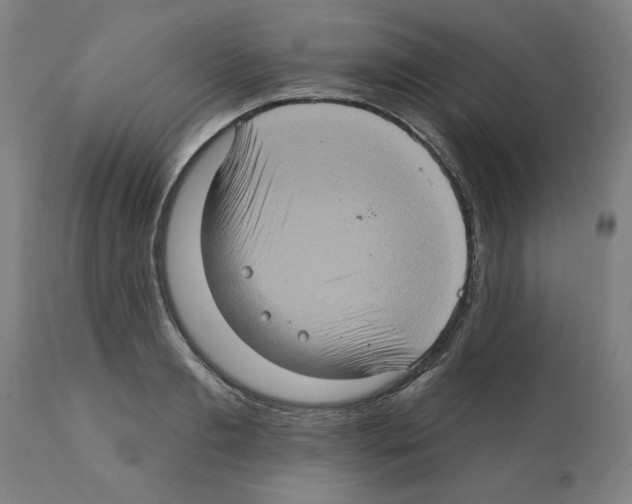 X0000112380893200909241212