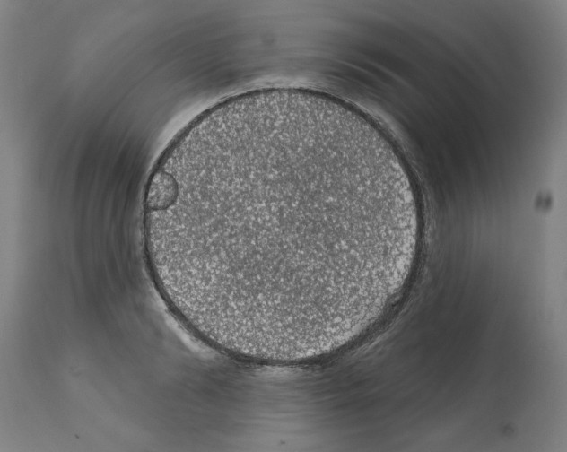 X0000112380894200909241212