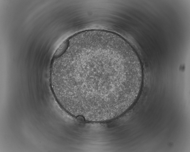 X0000112380896200909241212