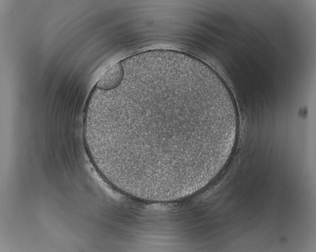 X0000112380898200909241212