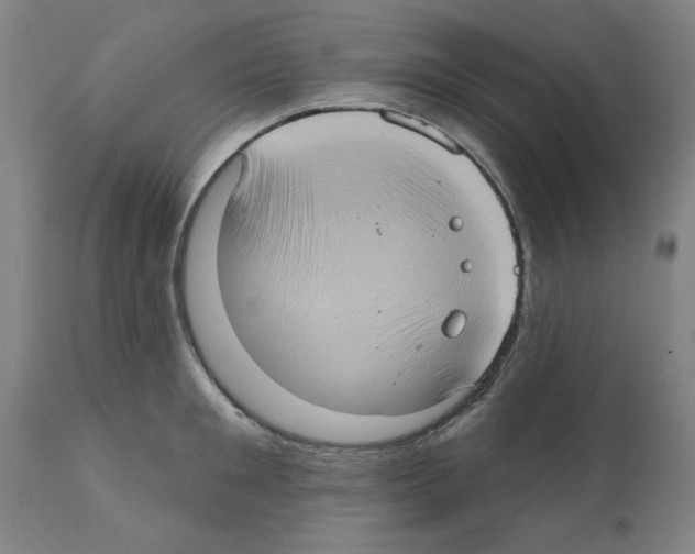 X0000112380901200909241212