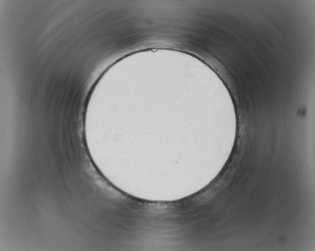 X0000112380904200909241212