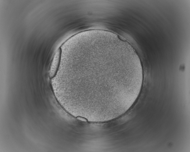 X0000112380908200909241212