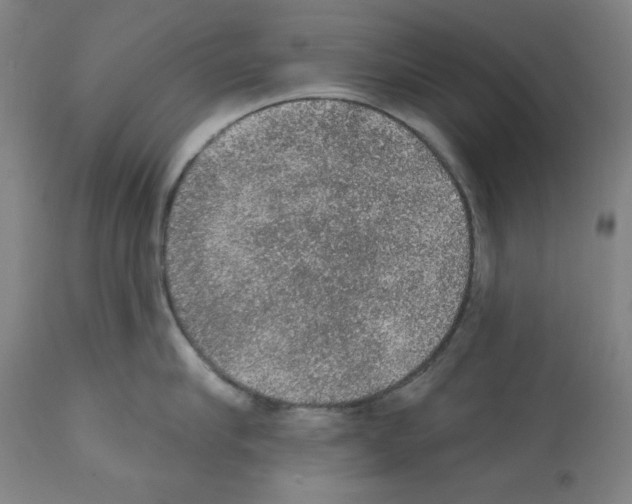 X0000112380910200909241212