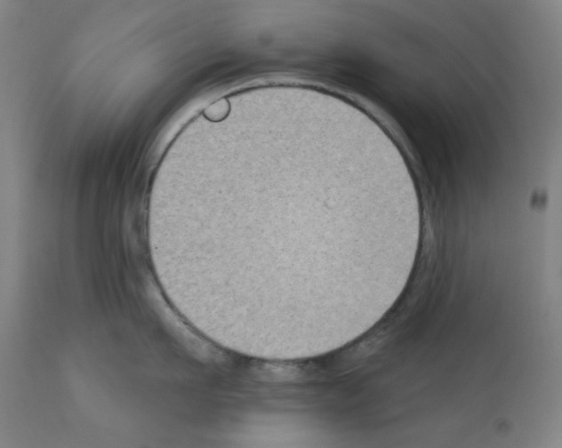 X0000112380911200909241212