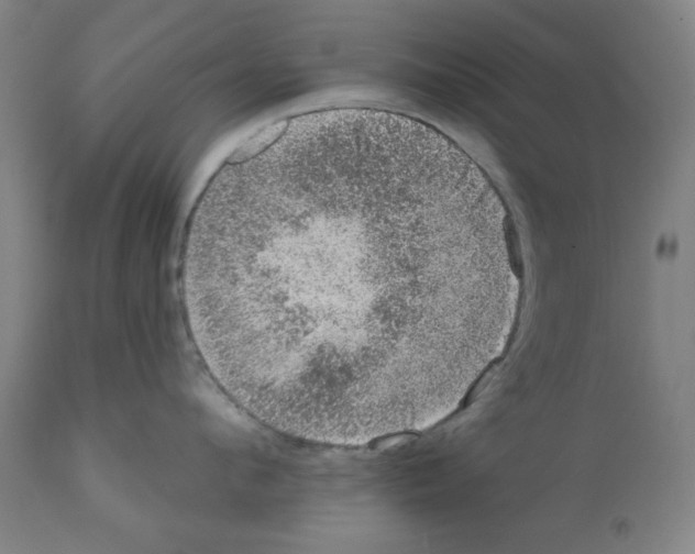 X0000112380912200909241211