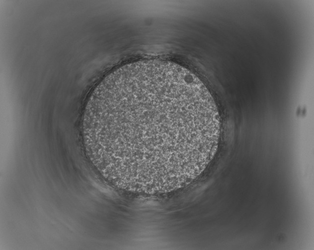 X0000112380913200909241211