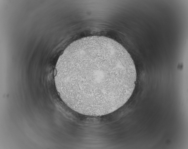 X0000112380914200909241211