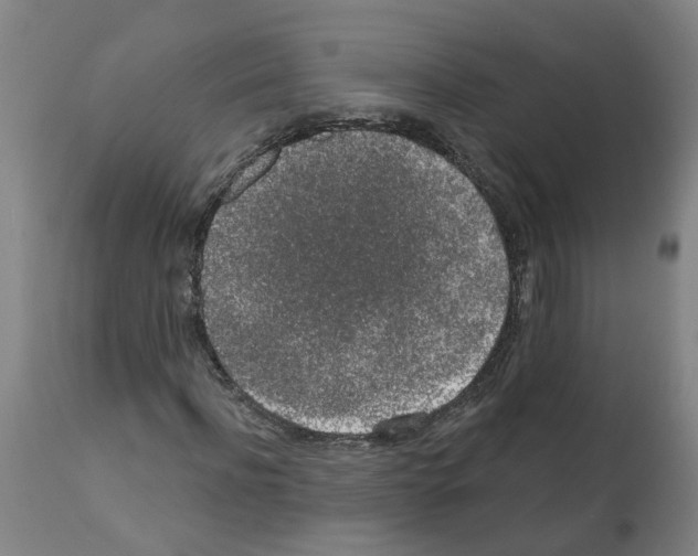 X0000112380916200909241211