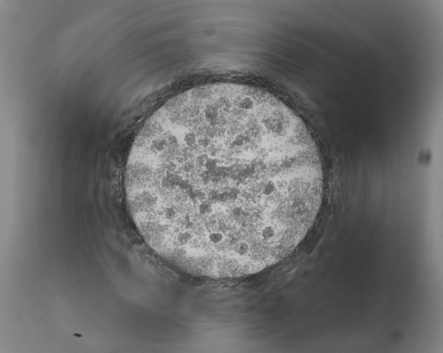 X0000112380917200909241211