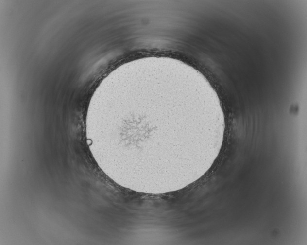 X0000112380918200909241211