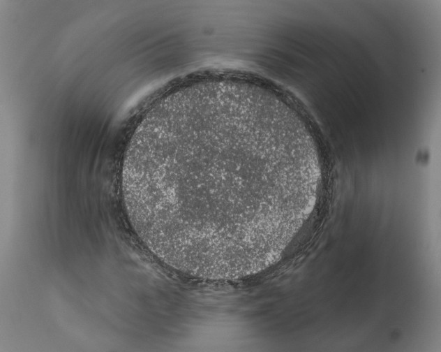 X0000112380919200909241211