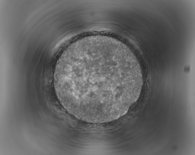 X0000112380920200909241211