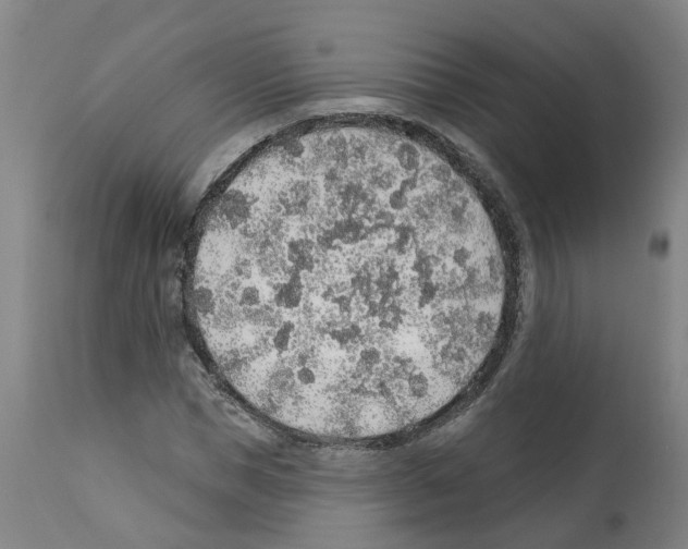 X0000112380921200909241211